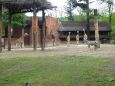 Z výletu do Liberecké ZOO