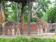 Z výletu do Liberecké ZOO