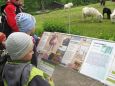 Z výletu do Liberecké ZOO