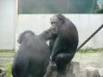 Z výletu do Liberecké ZOO