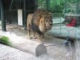 Z výletu do Liberecké ZOO