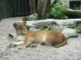 Z výletu do Liberecké ZOO