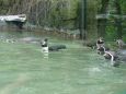 Z výletu do Liberecké ZOO