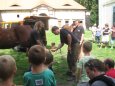 Kováři a podkováři ve Valdštejnské lodžii