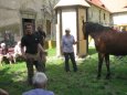 Kováři a podkováři ve Valdštejnské lodžii